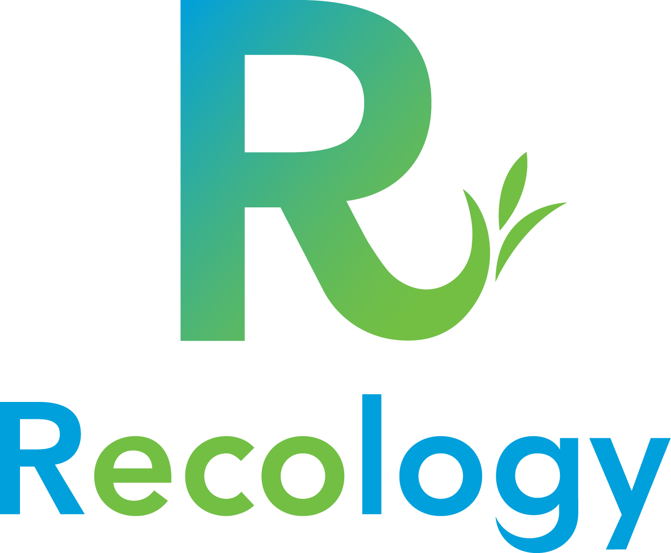 Partner Organization